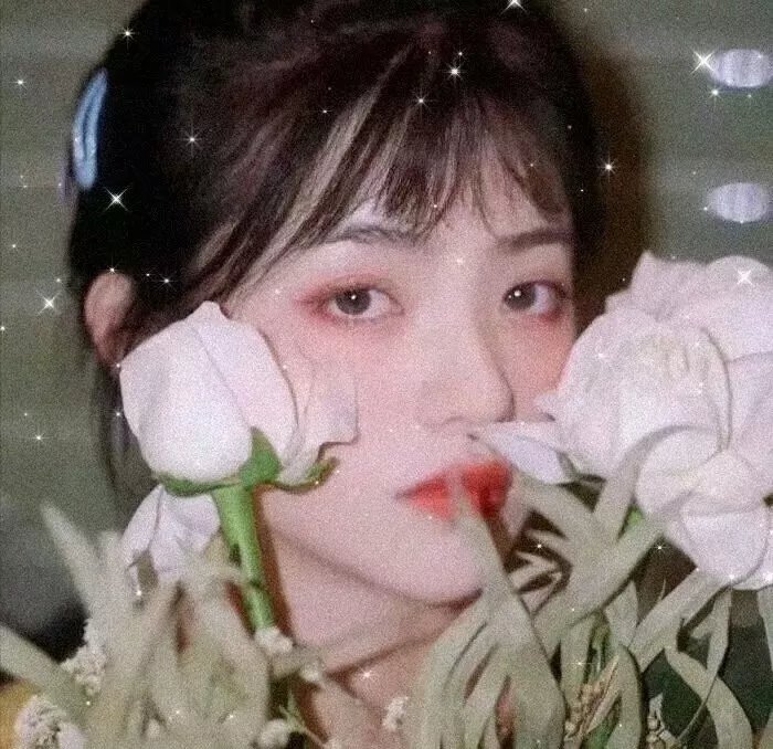 红十字星座